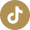 Tiktok@2x