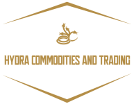 logo_footer