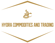 logo_footer